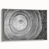 Framed canvas featuring a close-up view of trees in black and colorful art.