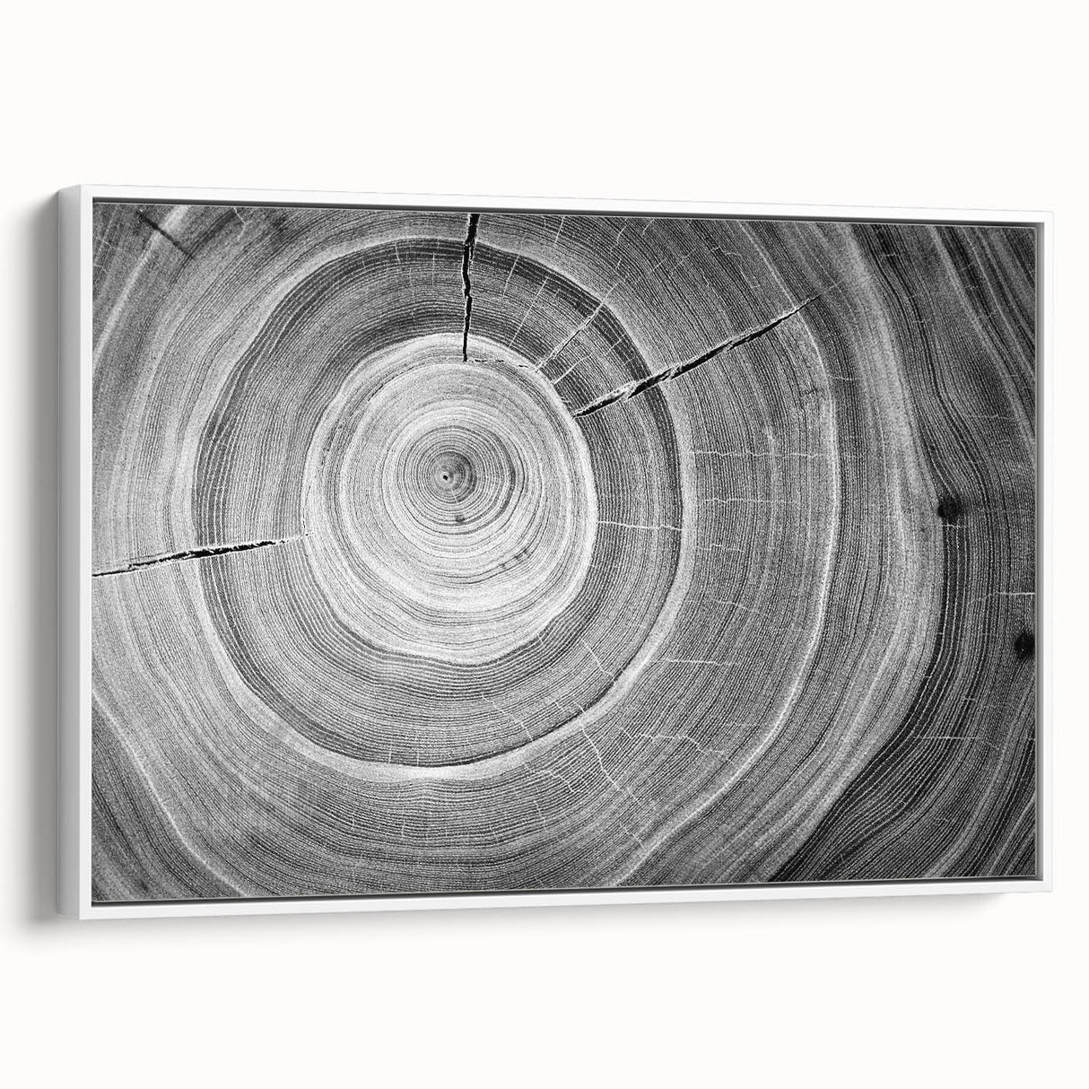Vintage poster art of a close-up tree design on framed canvas, featuring black and colorful art, ideal for living room decor.