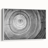 Vintage poster art of a close-up tree design on framed canvas, featuring black and colorful art, ideal for living room decor.