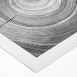 Art deco poster featuring close-up of trees in muted green and brown tones on rolled canvas, suitable for dining room decor.