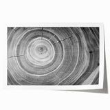 Close-up image of tree branches on a rolled print, featuring muted green and brown tones.