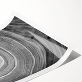 Extra large wall art featuring line art flowers on a rolled print, ideal for large living room decor.