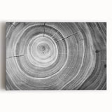 Black and white close-up photo of tree bark on stretched canvas, suitable for kitchen wall art.