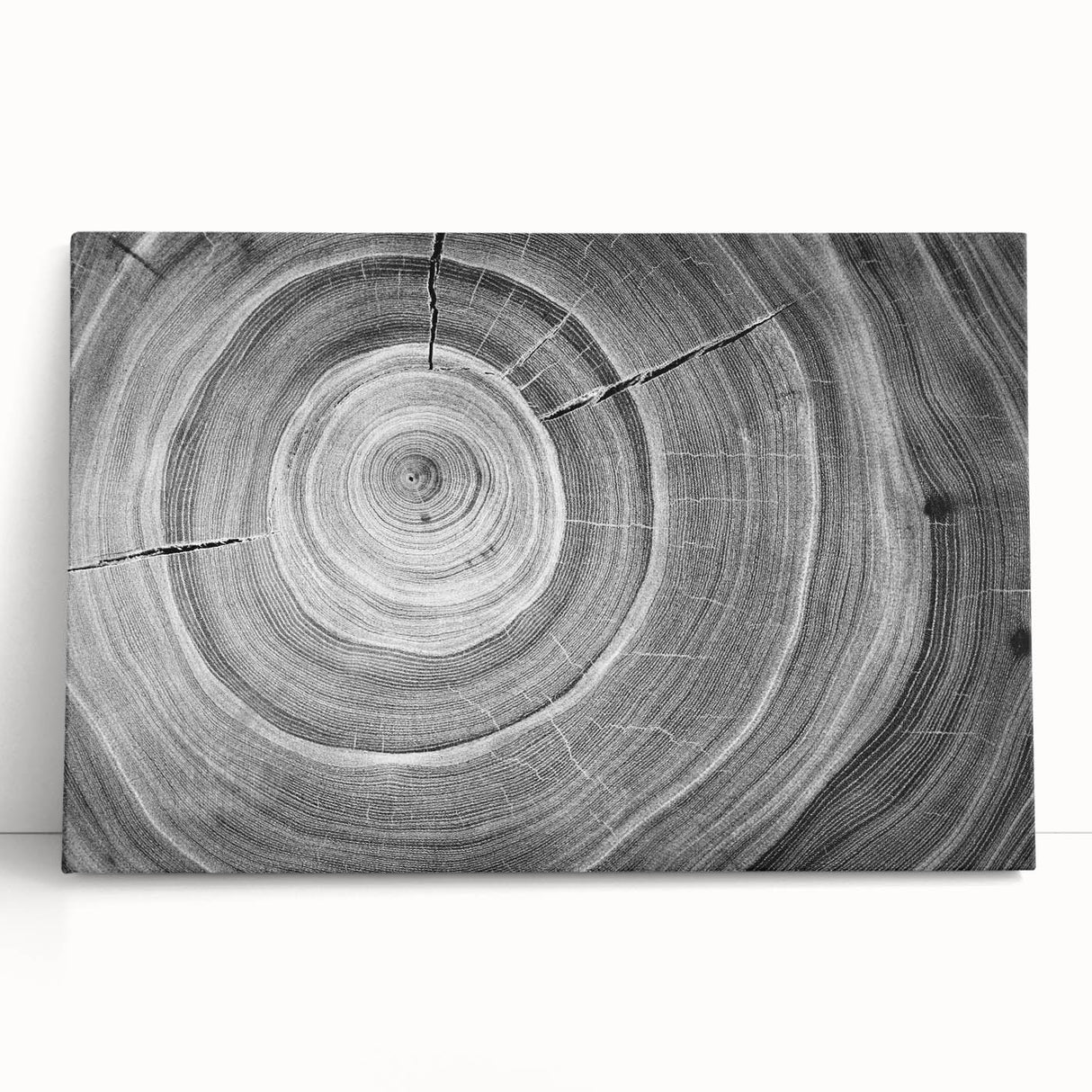 Black and white close-up photo of tree bark on stretched canvas, suitable for kitchen wall art or bedroom decor.