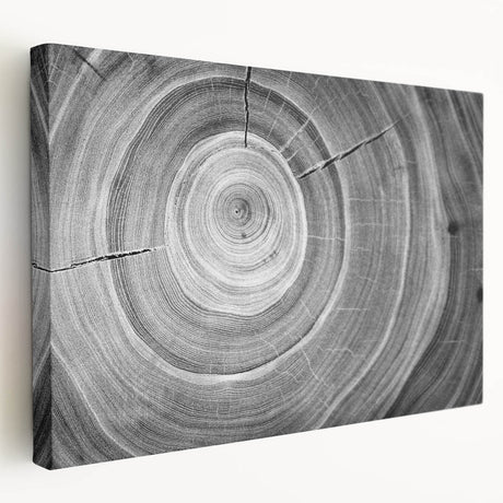 Close-up of tree bark on a large stretched canvas, featuring detailed textures in earthy brown tones.