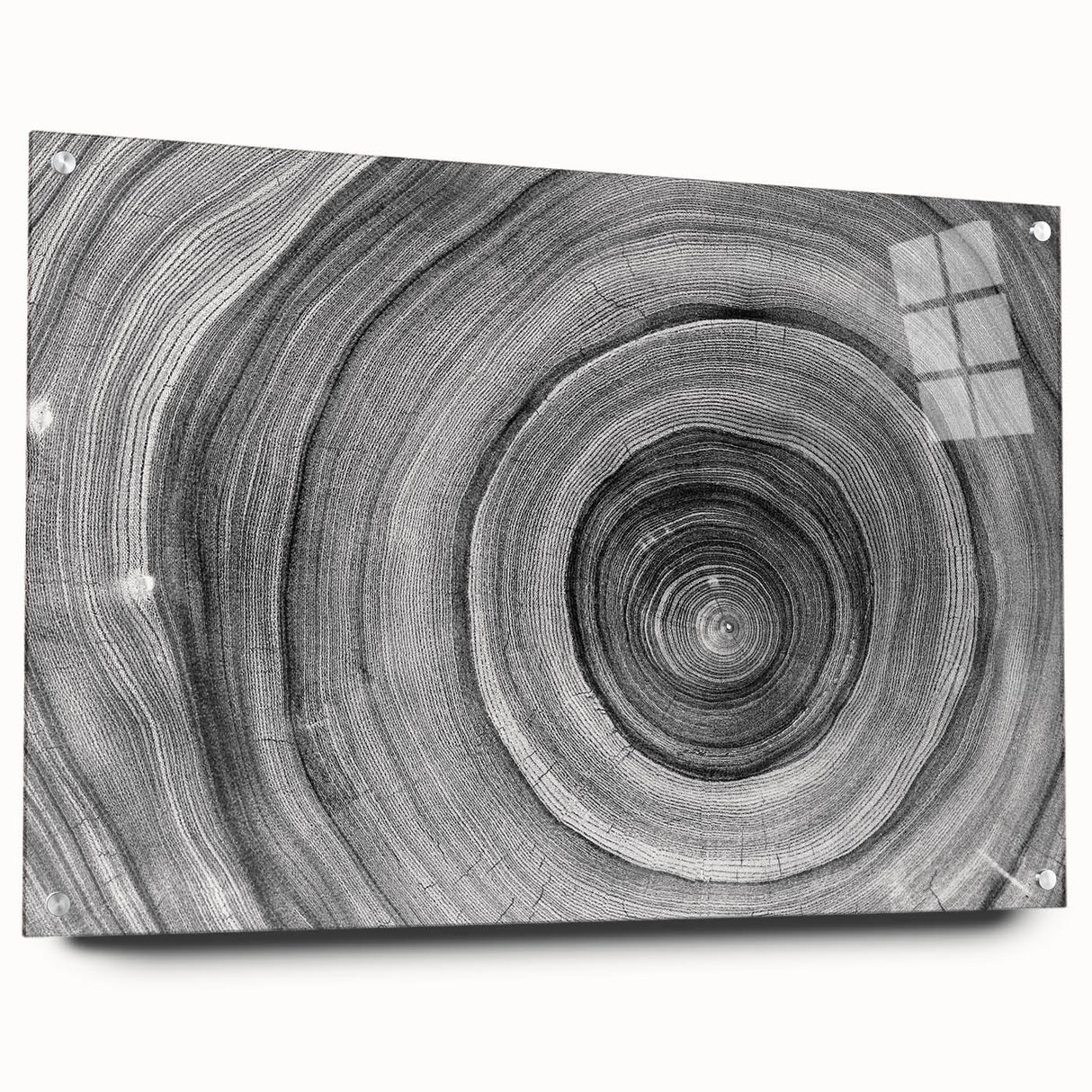Close-up of a tree design in muted green and brown tones on acrylic glass, suitable for bedroom or dining room decor.
