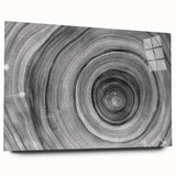 Close-up of tree bark design on large acrylic print, featuring muted earth tones, ideal for bedroom or dining room art.