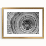 Extra large framed abstract art print featuring textured close-ups of trees in gold tones, ideal for living room decor.