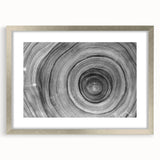 Textured art of abstract trees in silver frame, featuring earthy tones, ideal for bedroom wall decor.