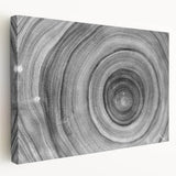 Close-up of tree bark in muted brown and green tones on a large stretched canvas, suitable for kitchen wall art.