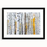 Extra large abstract art print depicting close-up tree textures in vibrant colors on a black framed canvas.