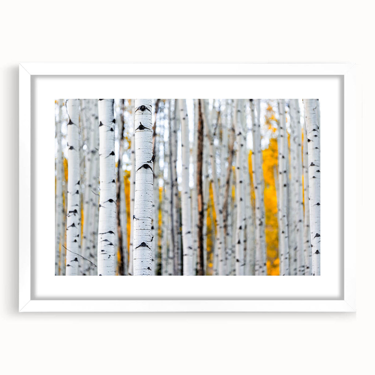 Abstract art print of close-up tree designs in muted green and brown tones, framed in white.