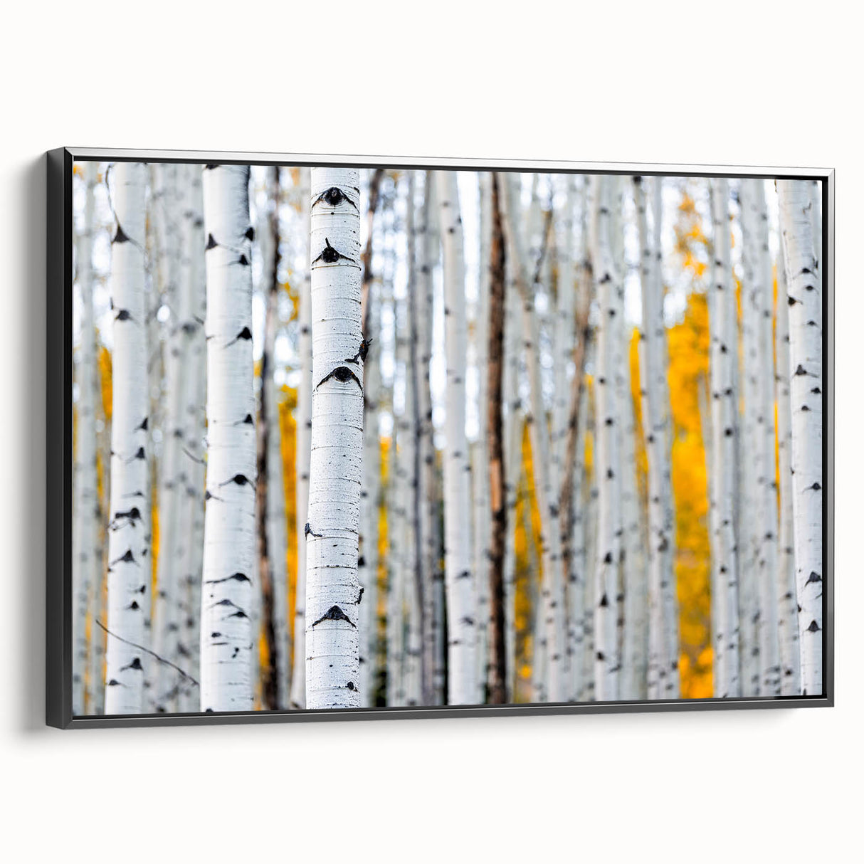 Black and white framed canvas depicting a close-up view of tree textures, ideal for bedroom wall art.