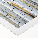 Art deco poster featuring a close-up of tree branches on a rolled canvas, suitable for dining room decor.