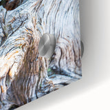 Large abstract wall art featuring close-up trees in muted green and brown tones on acrylic glass.