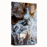 Close-up of tree bark on large acrylic glass, featuring textured grays and browns, ideal for bedroom or dining room art.