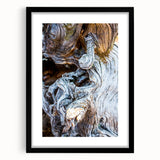 Extra large abstract art print featuring textured, colorful tree close-ups, in a black frame with mat.