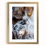 Extra large abstract art print featuring close-up of trees in gold frame with mat, using textured designs in earth tones.