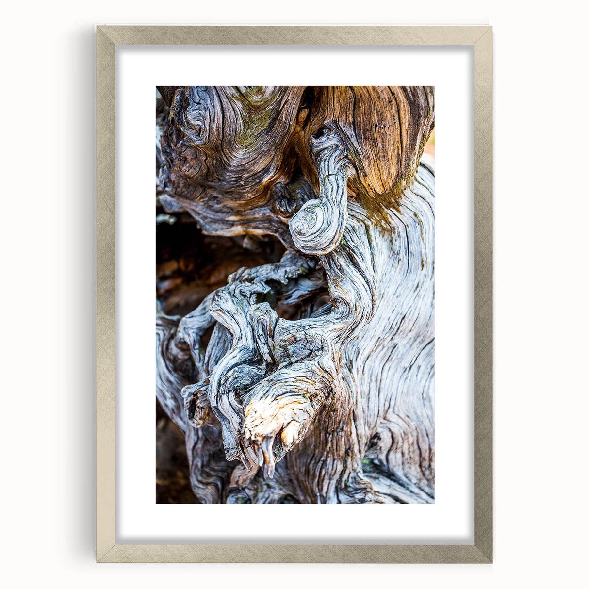 Textured art print featuring close-up abstract tree designs in muted green and brown, framed in silver.