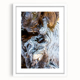 Abstract art print featuring close-up views of trees in muted green and brown tones, framed with a white mat.