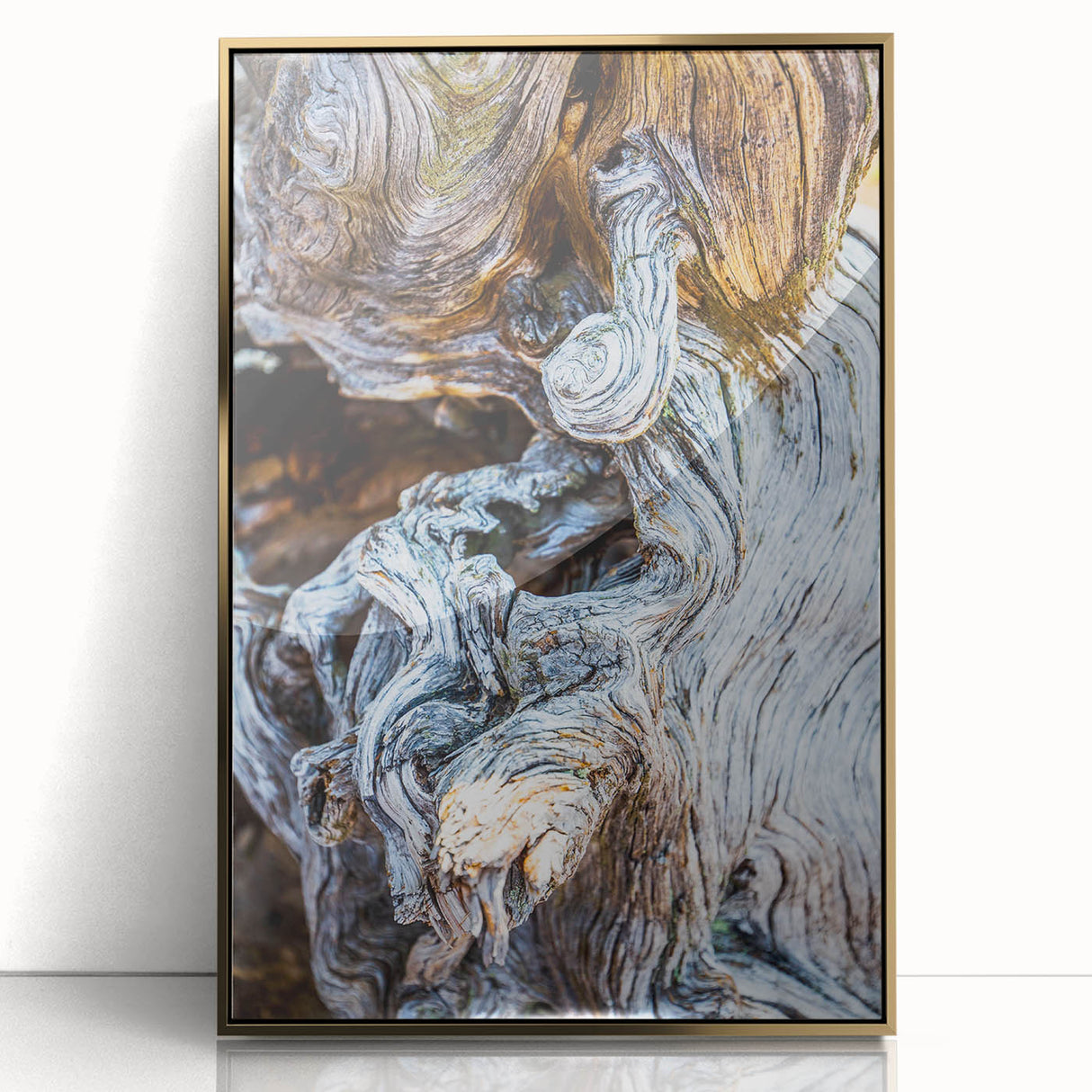 Mid-century modernist large art print of close-up tree design in gold frame, suitable for modern art wall decor.