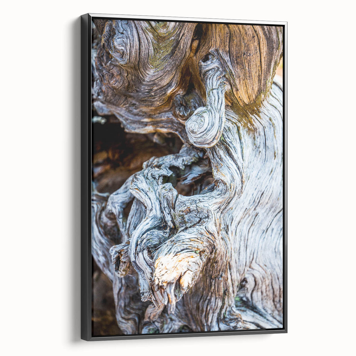 Black and white wall art featuring a close-up of tree branches on a framed canvas, ideal for bedroom decor.
