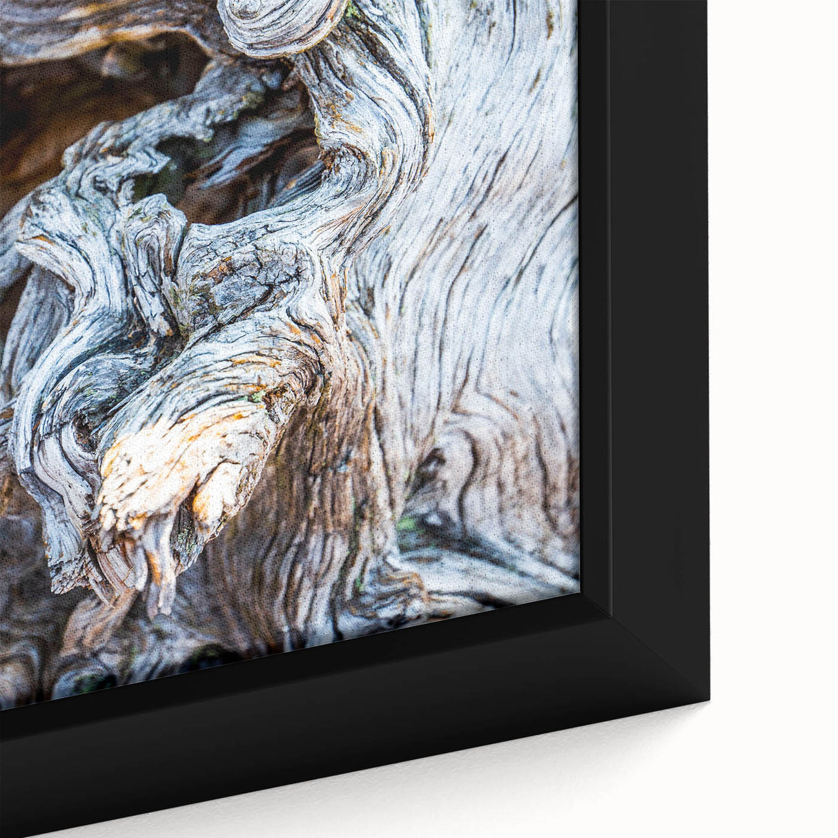 Close-up of a tree in black textured art on a framed canvas with colorful accents, ideal for living room decor.
