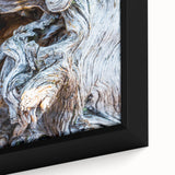 Close-up of a tree in black textured art on a framed canvas with colorful accents, ideal for living room decor.