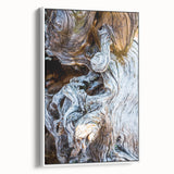 Framed canvas of vintage poster art featuring close-up tree designs in colorful art palette, ideal for living room decor.