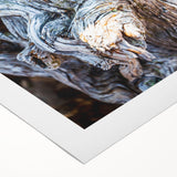 Art deco poster featuring close-up of trees in muted earth tones on rolled canvas, ideal for dining room decor.