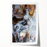 Close-up of tree branches in a rolled print with muted green and brown tones, suitable for dining room wall art.