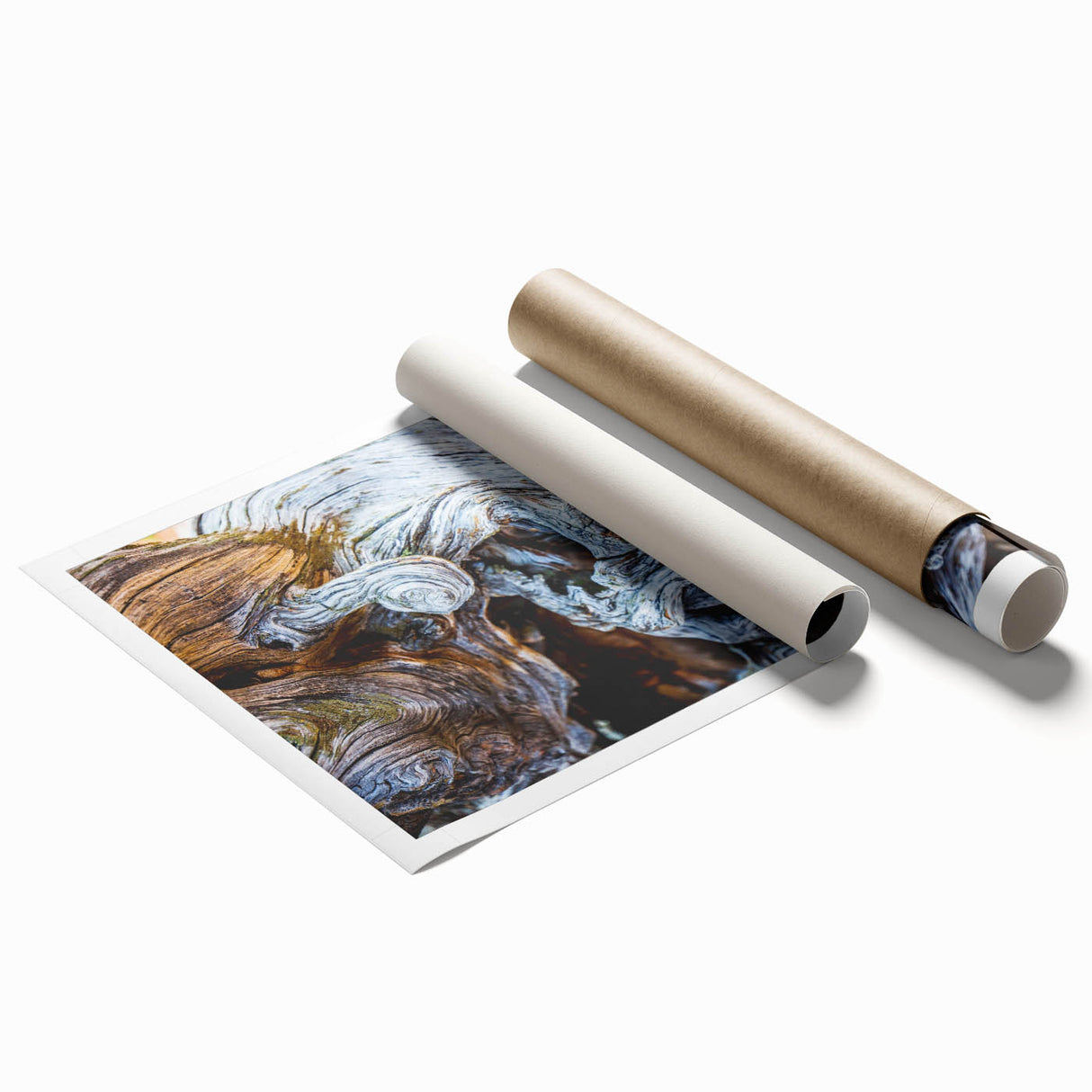 Close-up image of tree bark in neutral tones on a large rolled canvas, suitable for bathroom or living room decor.
