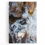 Black and white close-up photo of tree bark, printed on large stretched canvas, suitable as kitchen wall art.