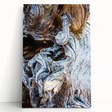 Black and white close-up photo of tree bark on a large stretched canvas, ideal for kitchen wall art or bedroom ambiance.