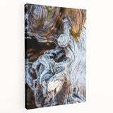 Close-up photo of tree bark on a large stretched canvas, featuring detailed textures in earthy brown tones.
