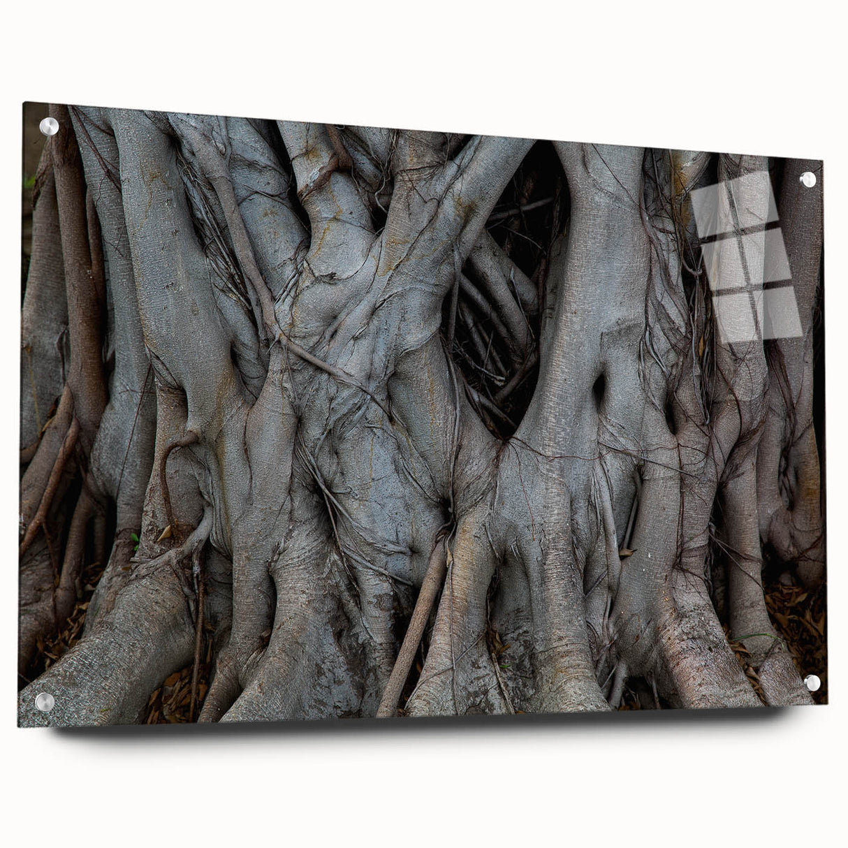 Large abstract wall art of close-up tree designs on acrylic glass, with neutral and earthy tones.