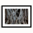 Extra large abstract art print featuring vibrant, textured close-ups of trees, presented in a black frame with mat.