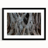 Extra large abstract art print featuring vibrant, textured close-ups of trees, presented in a black frame with mat.