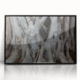 Large abstract wall art of close-up tree designs in black and white, framed in acrylic, suitable for modern art wall decor.