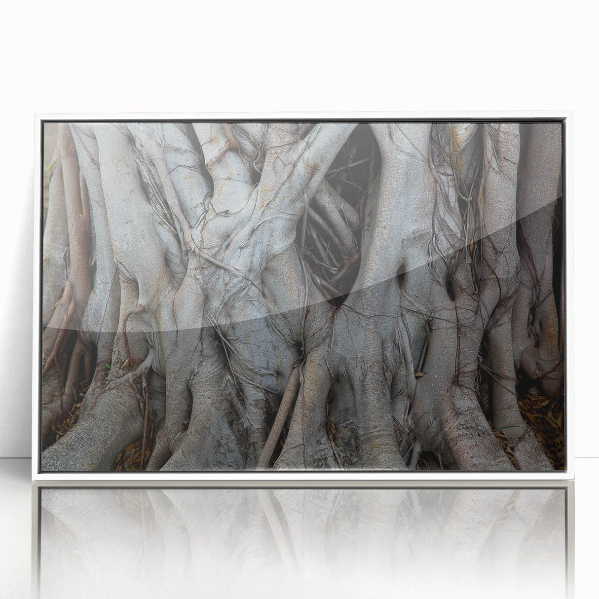 Art deco poster of close-up trees in muted green and brown tones, framed acrylic, ideal for modern nursery wall art.