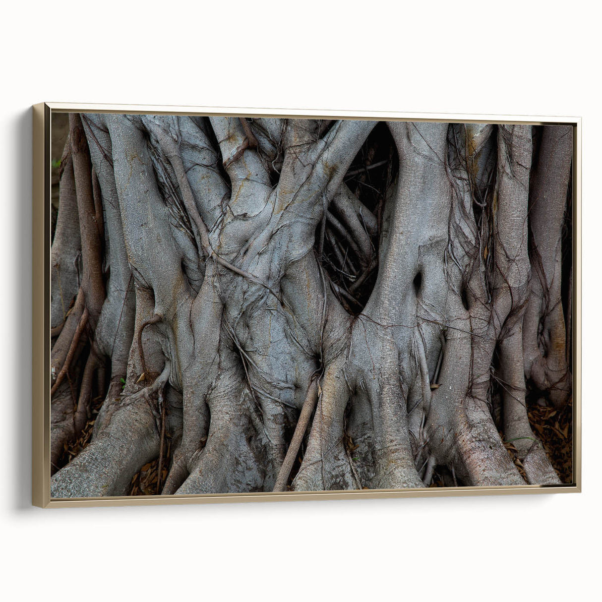 Framed canvas featuring close-up of trees in black and gold, ideal for bedroom wall art with a vintage poster feel.
