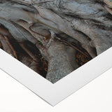 Art deco poster featuring a close-up of trees in muted earth tones on rolled canvas.