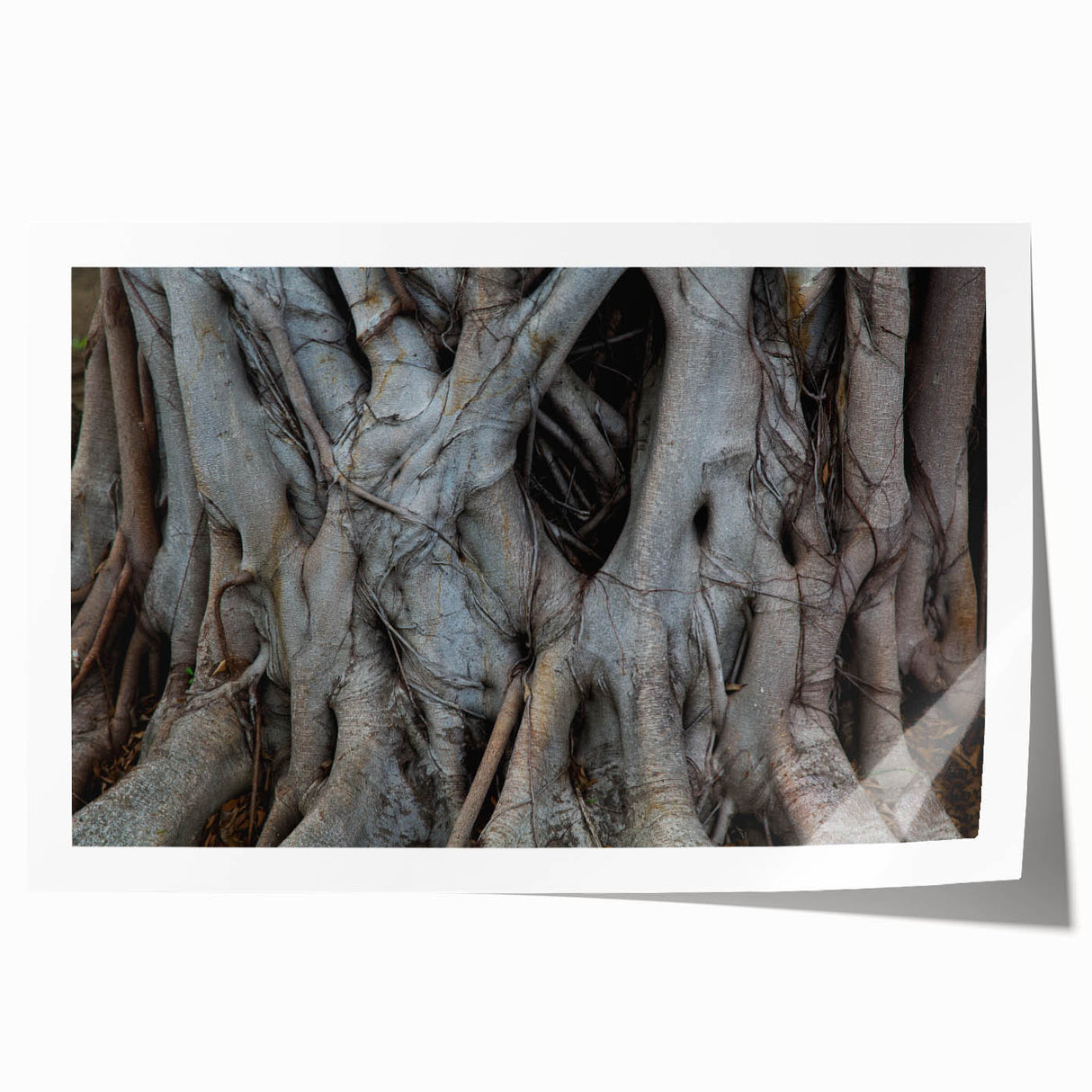 Close-up of tree branches in soft green and brown tones on a large rolled canvas, suitable for dining room or bathroom decor.