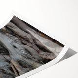 Extra large rolled print featuring line art flowers in black and white, ideal for large living room wall art.