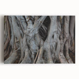 Black and white close-up photo of tree bark on stretched canvas, ideal for kitchen wall art.