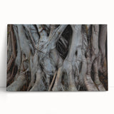 Black and white close-up photograph of tree bark on a large stretched canvas, suitable as kitchen wall art or bedroom decor.