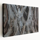 Close-up view of a tree's bark on a stretched canvas, showcasing detailed textures in earth tones.