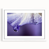 Abstract art print featuring close-up water design in blue and white tones on a framed canvas.