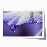 Close-up floral design in soft pastel colors on a rolled print, suitable for art wall dining room or bathroom.