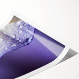 Extra large wall art featuring line art flowers in monochrome, printed on rolled canvas.